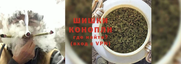гидра Пестово