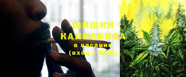 трава Абаза