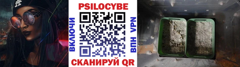 Галлюциногенные грибы Cubensis  купить   Тетюши 